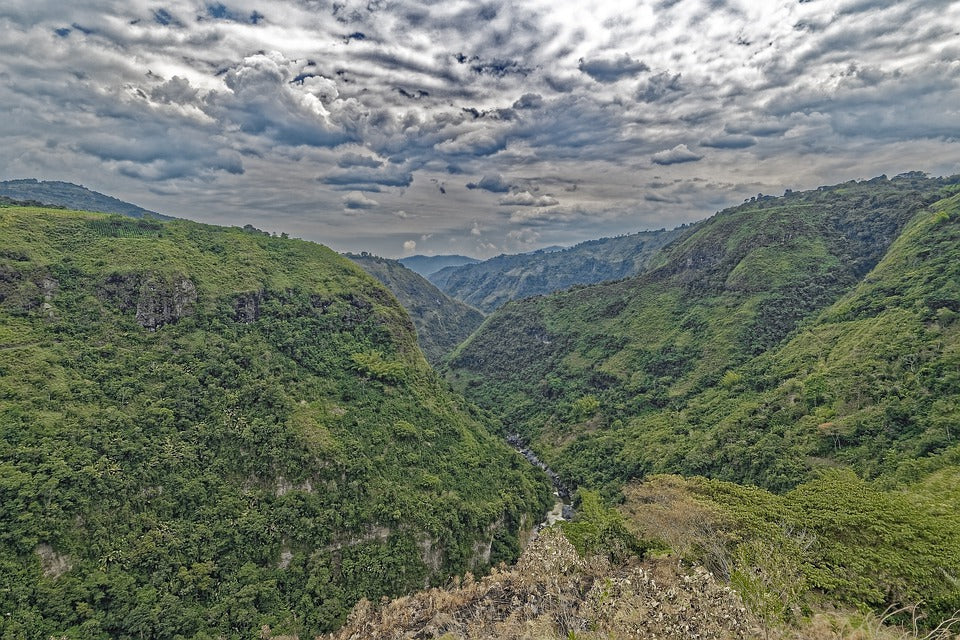 200 грамм кофе в зернах Colombia Huila